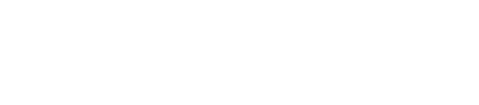 BlueLink Solutions